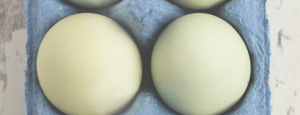 BOUNCING EGGS – Just In Time For Easter